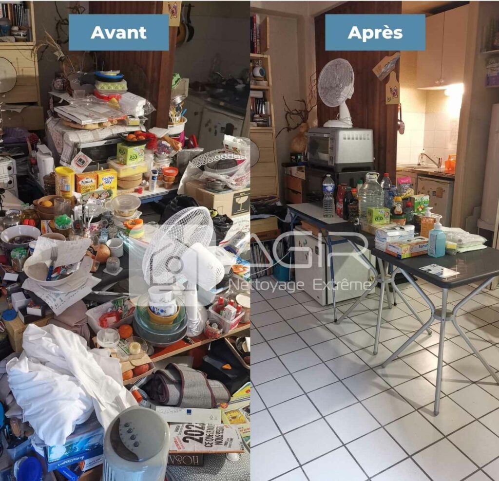 Nettoyage Diogene Toulouse I Debarras Diog ne Et D sinfection Nettoyage Diogene Toulouse I Debarras Diog ne Et D sinfection