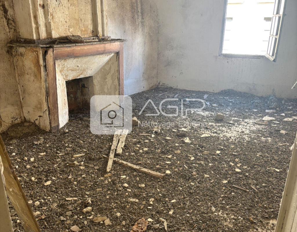 Fientes de pigeon dans maison