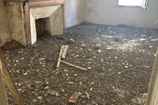 nettoyage-de-fientes-de-pigeons